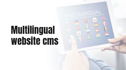 Built a high-performance CMS