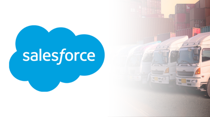 Salesforce Integration and Development